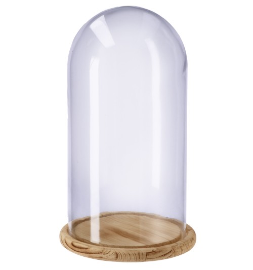 Campana in vetro con base in legno - diam. cm. 28,5 x h. cm. 50